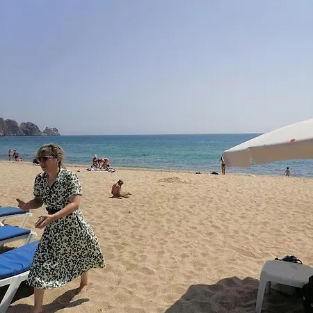 Damlatas Aparthotel Alanya